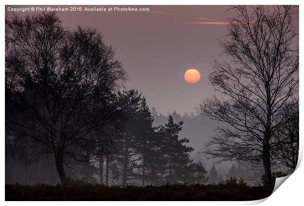  Sunrise over the New Forest Print by Phil Wareham