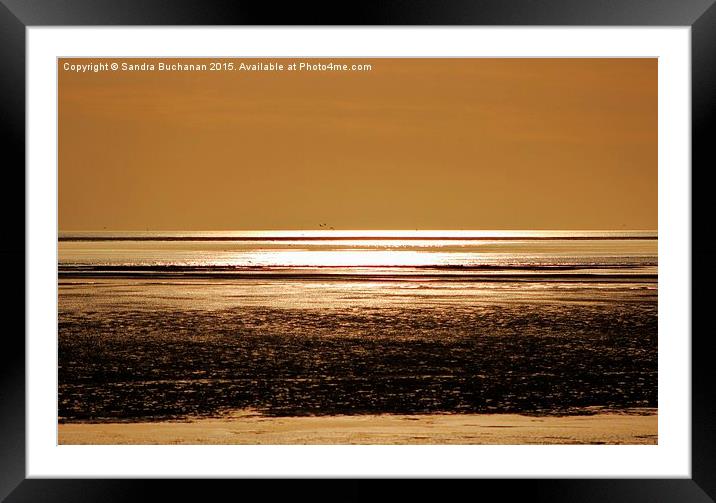  Sunset Shimmer Framed Mounted Print by Sandra Buchanan