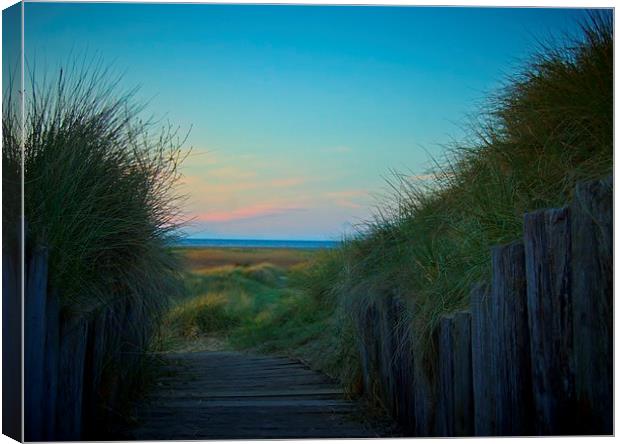  Prestatyn Path With A View Canvas Print by pristine_ images