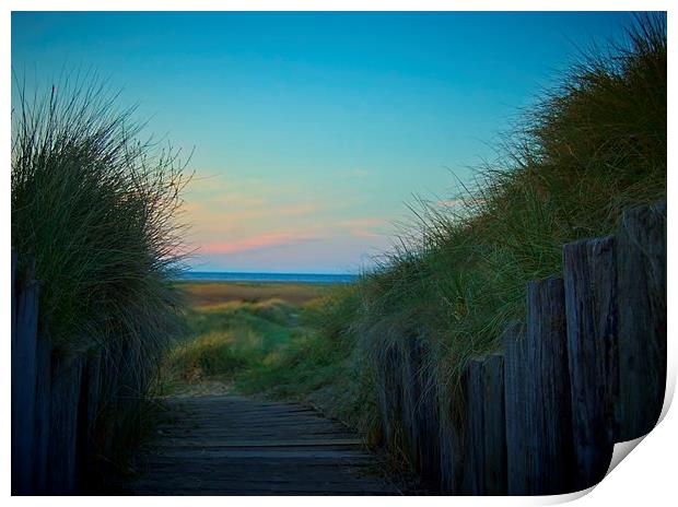  Prestatyn Path With A View Print by pristine_ images