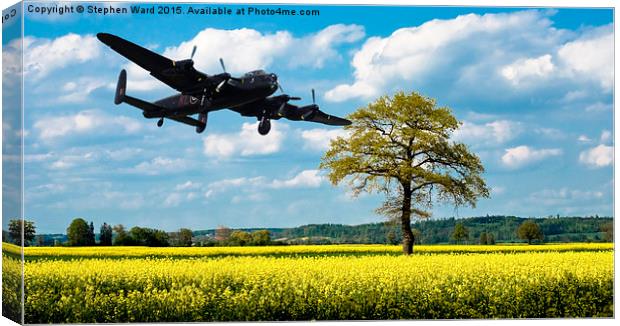  above the fields Canvas Print by Stephen Ward