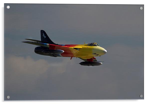  Miss Demeanour at Yeovilton Acrylic by Oxon Images