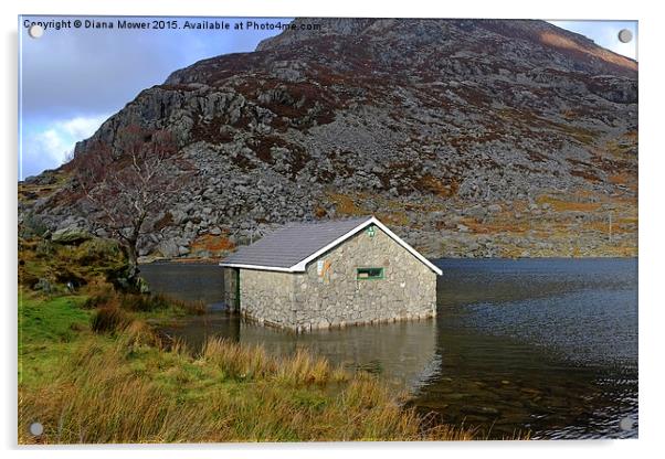  Llyn Ogwen Boathouse Acrylic by Diana Mower