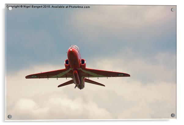     The Red Arrows  Acrylic by Nigel Bangert