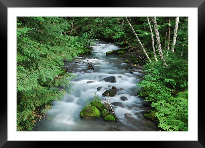 natures beauty Framed Mounted Print by Ashley  Gruber