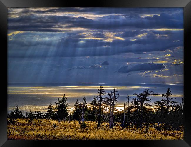 Skyline Trail Evening, Cape Breton, Canada Framed Print by Mark Llewellyn