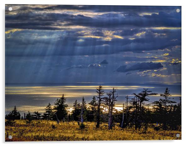 Skyline Trail Evening, Cape Breton, Canada Acrylic by Mark Llewellyn
