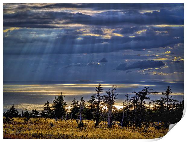 Skyline Trail Evening, Cape Breton, Canada Print by Mark Llewellyn