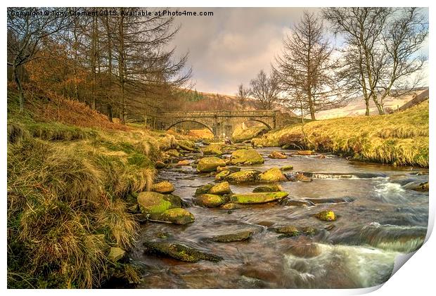  River Derwent Print by Tony Clement