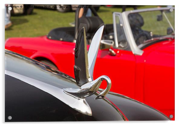  1956 Packard Ultramatic - Hood Ornament Acrylic by Thanet Photos