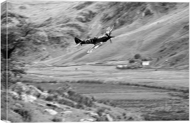 Spitfire In The Weeds - Mono  Canvas Print by J Biggadike