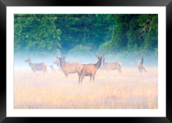 Concealed by the Fog Framed Mounted Print by Mike Dawson