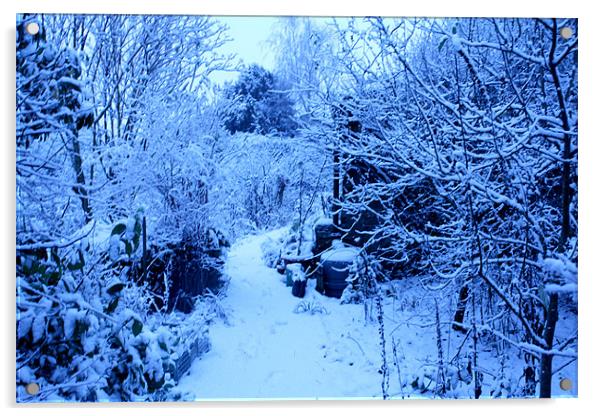 Winters Garden Acrylic by Gavin Liddle