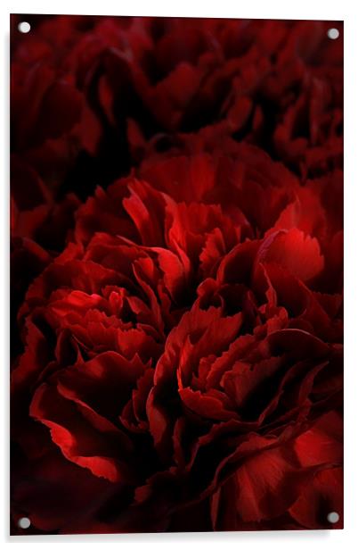 Red Carnations Acrylic by Ann Garrett