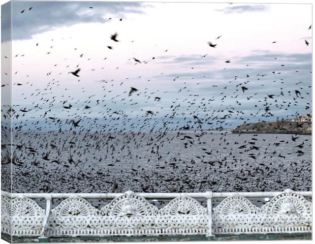 Murmuration Canvas Print by Victor Burnside