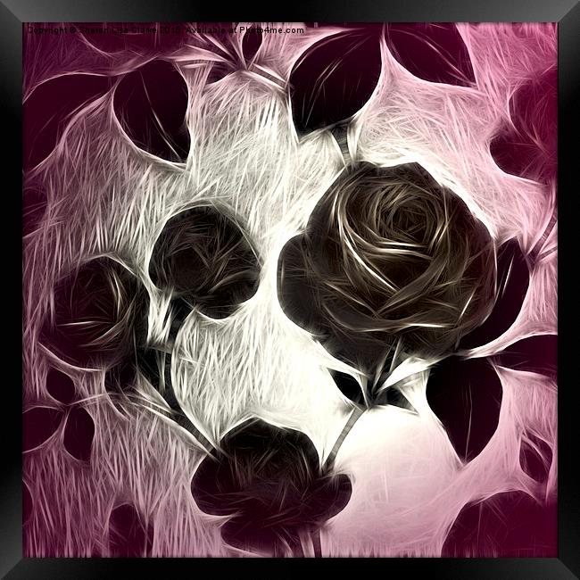  A rose among thorns Framed Print by Sharon Lisa Clarke