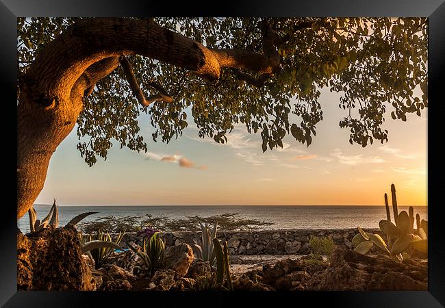 Views around Curacao Caribbean island Framed Print by Gail Johnson