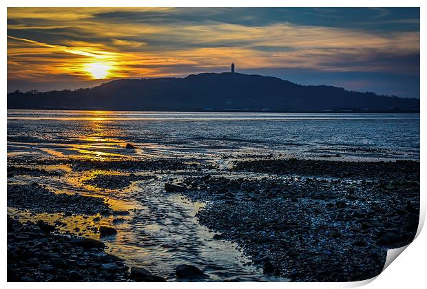  Strangford Lough Scrabo Tower N.Ireland Sunset Print by Chris Curry