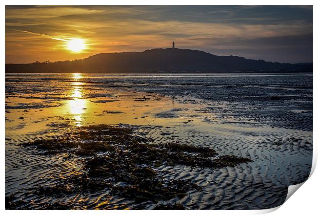  Sunset Strangford Lough Northern Ireland Print by Chris Curry