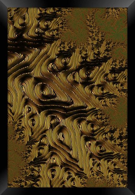 Golden Brown Framed Print by Steve Purnell