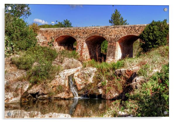 Pont Vell de Santa Eulalia Acrylic by Tom Gomez