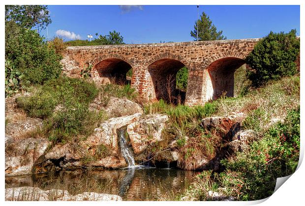 Pont Vell de Santa Eulalia Print by Tom Gomez