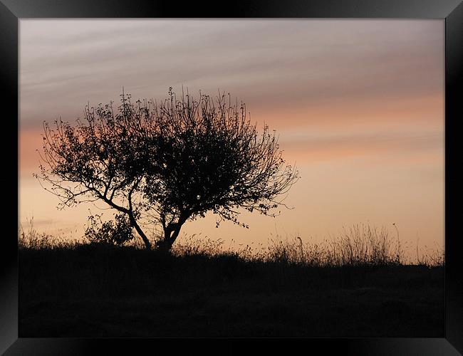 at sunset Framed Print by anurag gupta