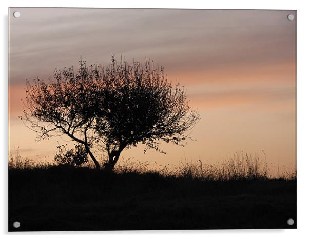 at sunset Acrylic by anurag gupta