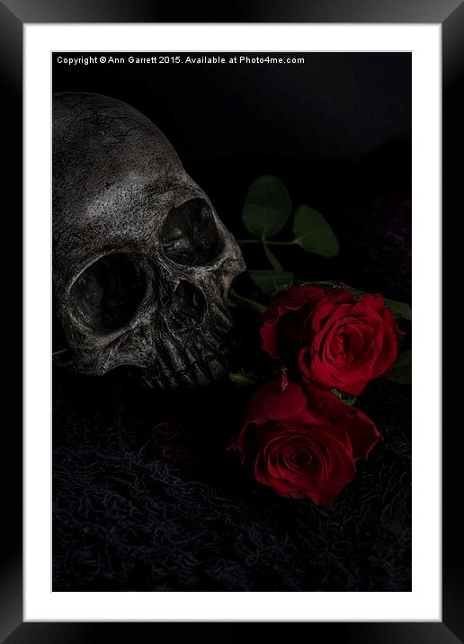 Skull and Red Roses Framed Mounted Print by Ann Garrett