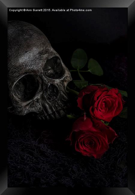 Skull and Red Roses Framed Print by Ann Garrett
