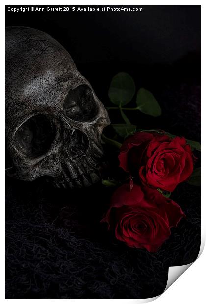 Skull and Red Roses Print by Ann Garrett