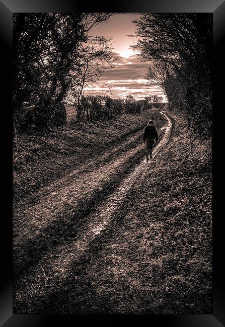  The walk home Framed Print by Steven Shea