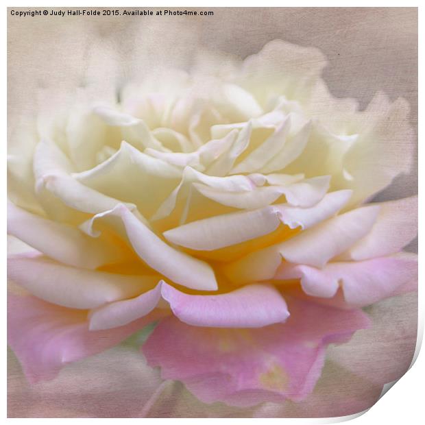 Purity Print by Judy Hall-Folde