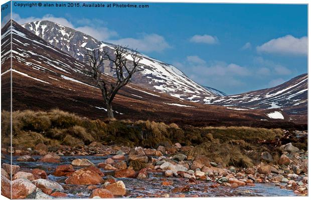  lonely tree Glen Derry Canvas Print by alan bain