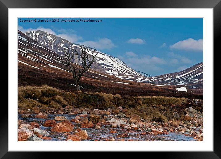  lonely tree Glen Derry Framed Mounted Print by alan bain