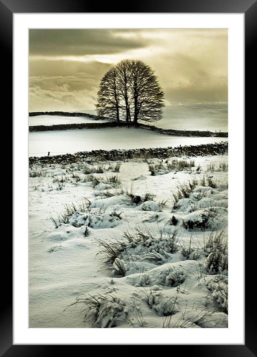 A Cold December Day Framed Mounted Print by Jim kernan