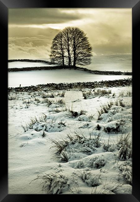 A Cold December Day Framed Print by Jim kernan