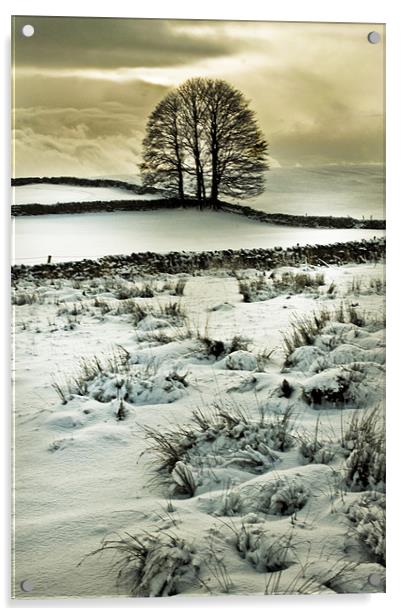 A Cold December Day Acrylic by Jim kernan