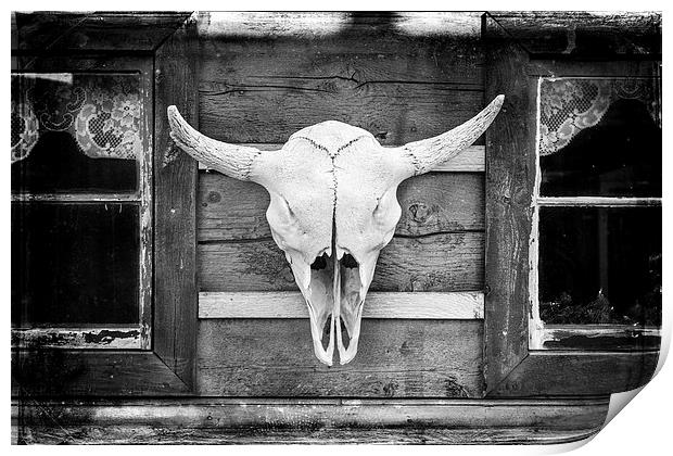  Buffalo Skull  Print by David Hare