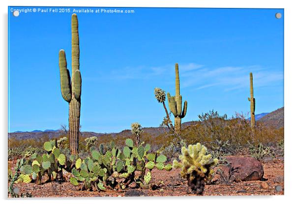Arizona desert Acrylic by Paul Fell