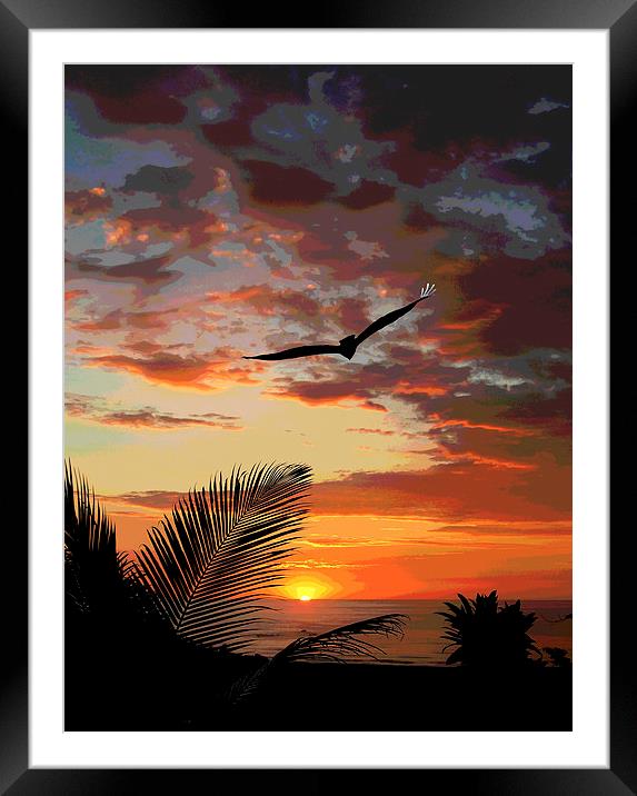 Colorful Sunset with Bird  Framed Mounted Print by james balzano, jr.