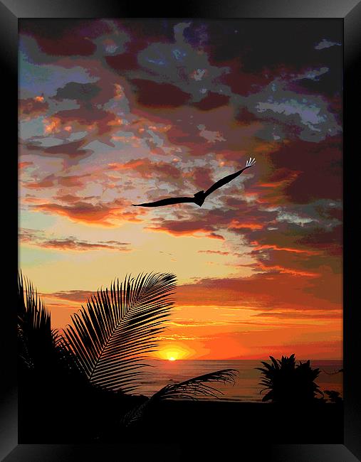 Colorful Sunset with Bird  Framed Print by james balzano, jr.