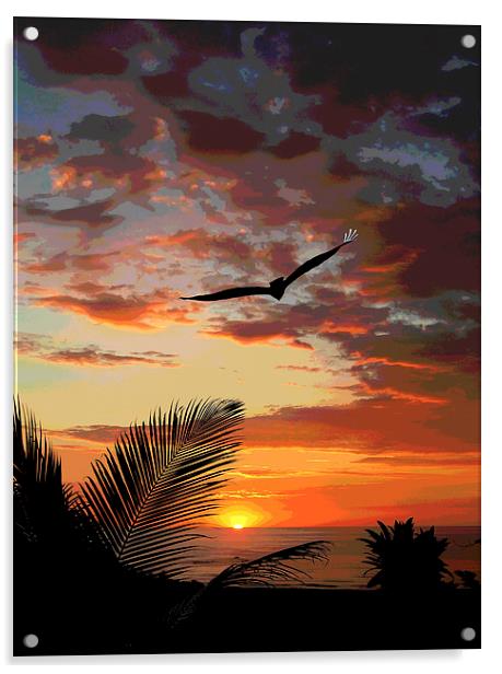 Colorful Sunset with Bird  Acrylic by james balzano, jr.