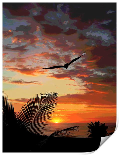 Colorful Sunset with Bird  Print by james balzano, jr.