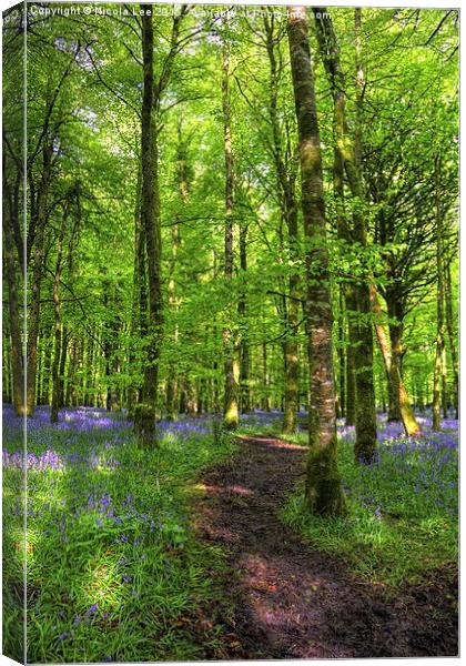 Bluebell Forest Canvas Print by Nicola Lee