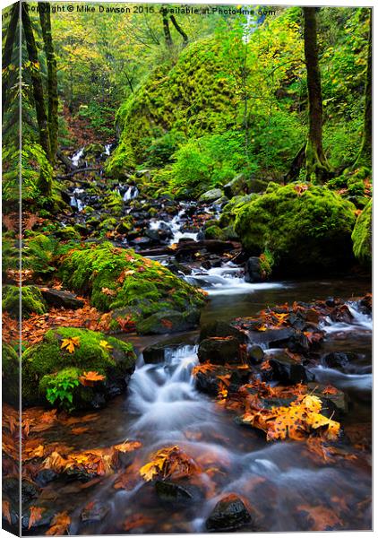 Starvation Creek Color Canvas Print by Mike Dawson