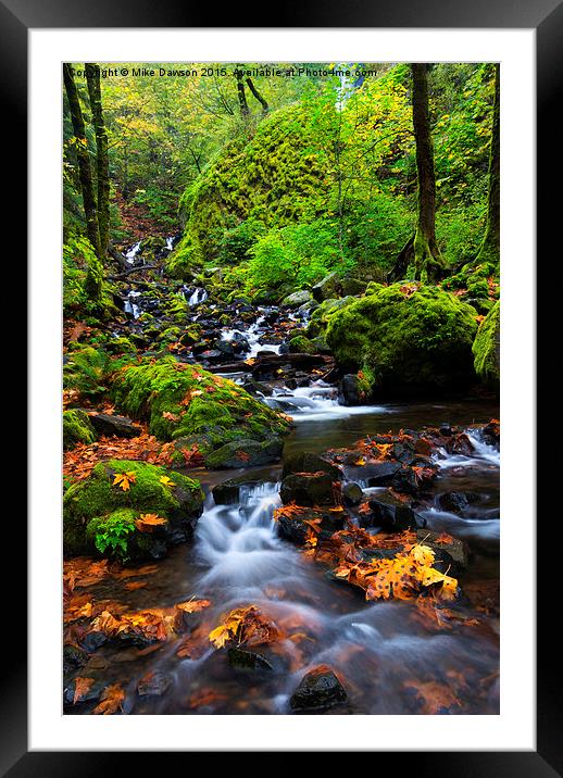 Starvation Creek Color Framed Mounted Print by Mike Dawson