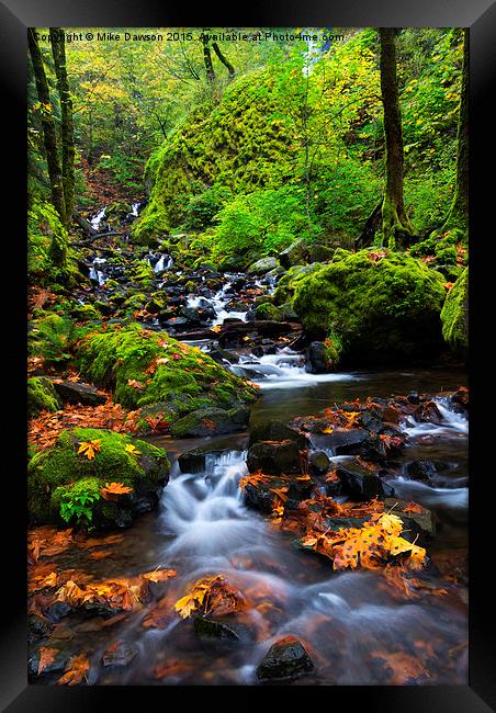 Starvation Creek Color Framed Print by Mike Dawson
