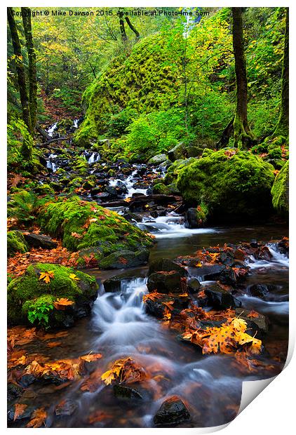 Starvation Creek Color Print by Mike Dawson