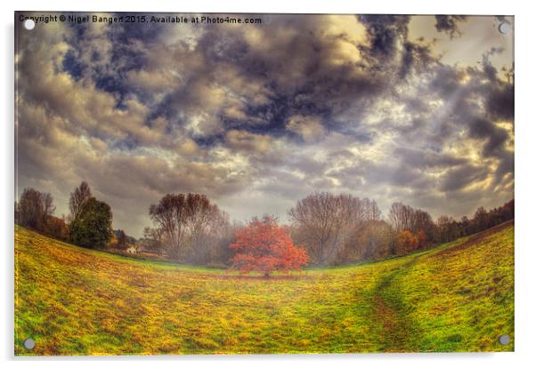   Autumn Tree Acrylic by Nigel Bangert